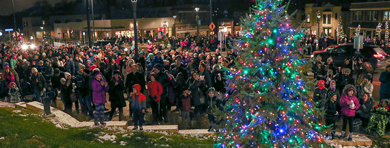 pocket park - interior - tree lighting