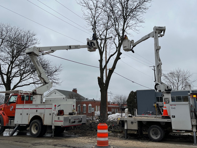 tree trim on north ave